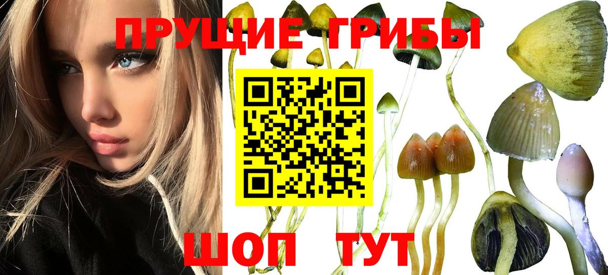 Галлюциногенные грибы Magic Shrooms  Вход с VPN  Орехово-Зуево 